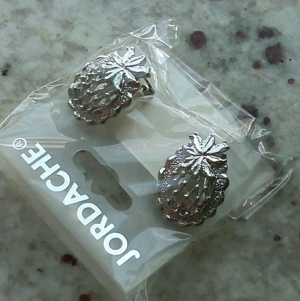 🔴NWT Silver Pineapple Earrings🔴